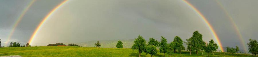 conni_eyrich_0018_Ebene 8.jpg